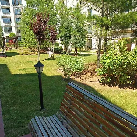 Orange в местност каваци, * 소조폴