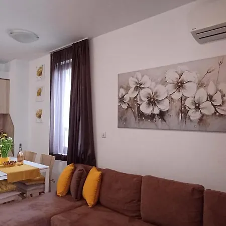 Orange в местност каваци, 소조폴