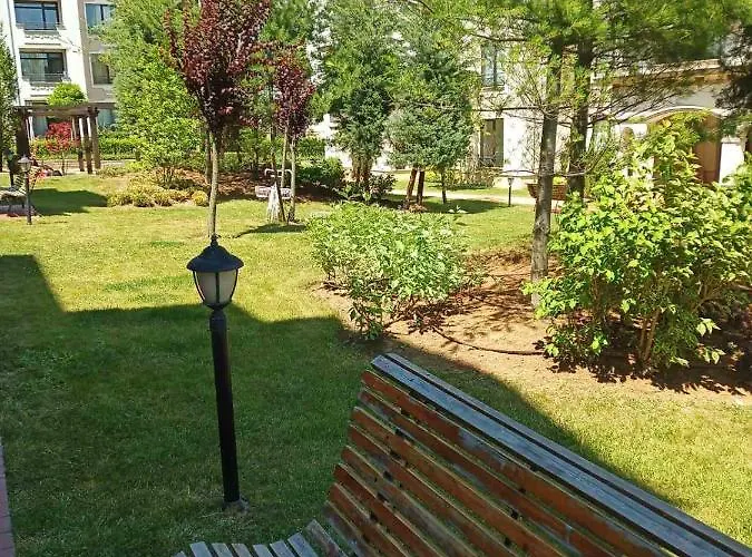 Orange в местност каваци, * ソゾポル